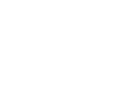 LG white logo
